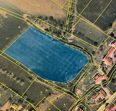 Prodej louky, Luže, 11020 m2
