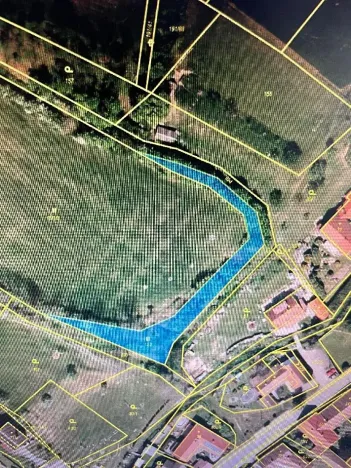 Prodej louky, Luže, 11020 m2