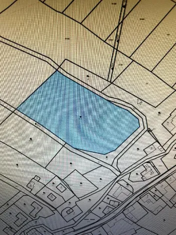 Prodej louky, Luže, 11020 m2