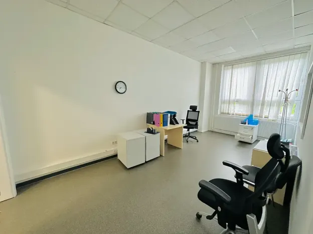 Pronájem výrobních prostor, Chodová Planá, Kyjovská, 2497 m2