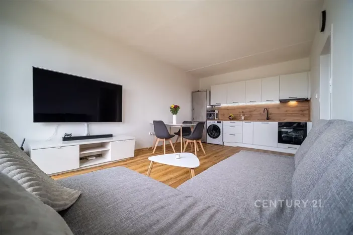 Prodej bytu 2+kk, České Budějovice - České Budějovice 2, Otavská, 46 m2