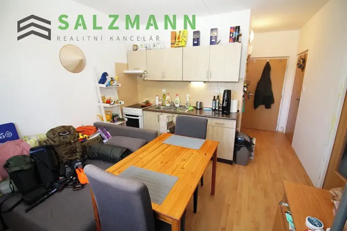 Pronájem bytu 1+1, Dýšina, K Chlumu, 42 m2