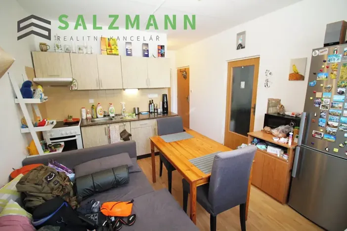 Pronájem bytu 1+1, Dýšina, K Chlumu, 42 m2