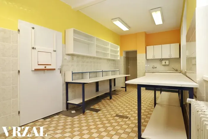 Pronájem ordinace, Plzeň, Francouzská třída, 80 m2