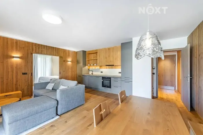 Prodej bytu 2+kk, Vítkovice, 57 m2