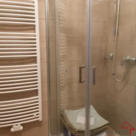 Pronájem pokoje, Zlín, třída Tomáše Bati, 114 m2