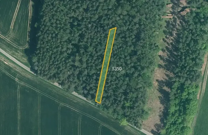 Prodej podílu pole, Slabčice, 77267 m2