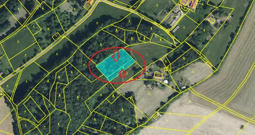 Prodej lesa, Semily, 2671 m2
