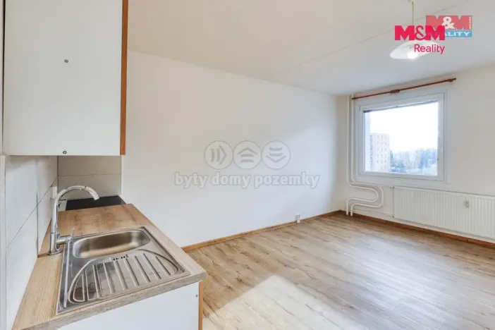 Prodej bytu 1+kk, Plzeň - Severní Předměstí, Brněnská, 31 m2