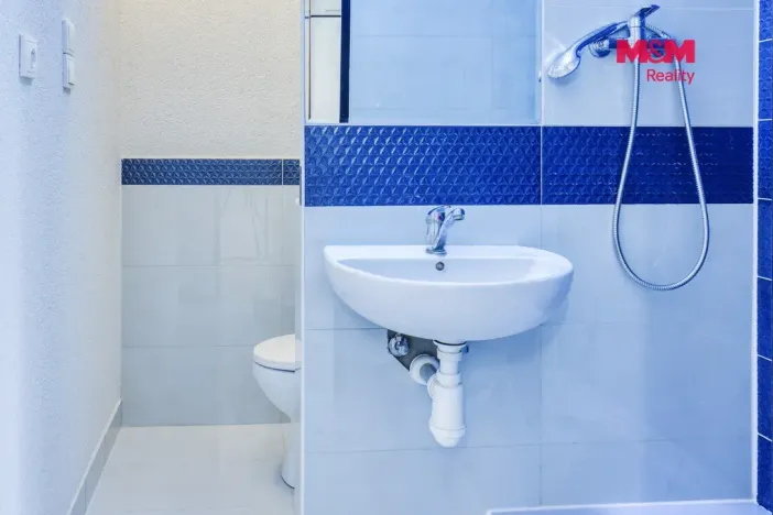Prodej bytu 1+kk, Plzeň - Severní Předměstí, Brněnská, 31 m2