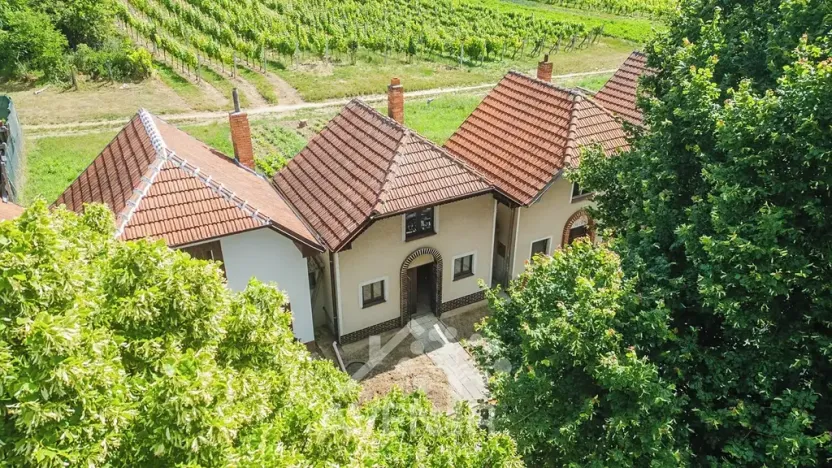 Prodej vinného sklepa, Čejkovice, 84 m2