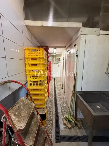 Pronájem obchodního prostoru, Orlová, U Moravy, 88 m2