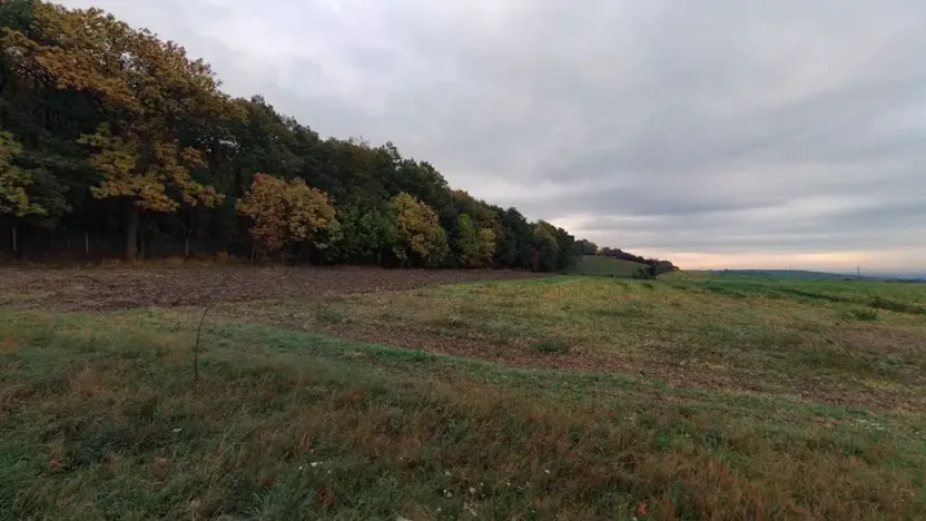 Prodej pole, Polní Chrčice, 10141 m2
