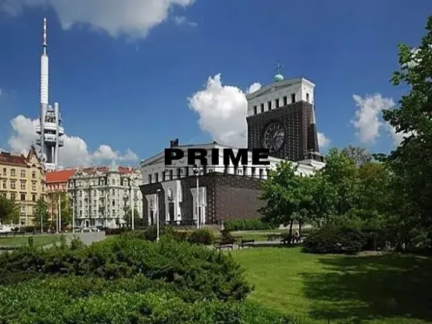 Pronájem bytu 2+kk, Praha - Vinohrady, Laubova, 50 m2