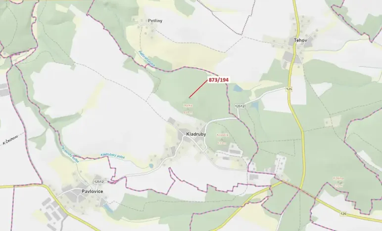 Dražba lesa, Kladruby, 132 m2