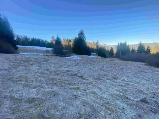 Dražba pozemku, Železná Ruda, 2377 m2