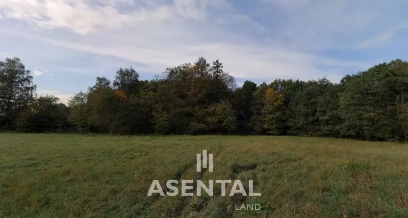 Prodej pozemku, Orlová - Poruba, Těšínská, 4096 m2