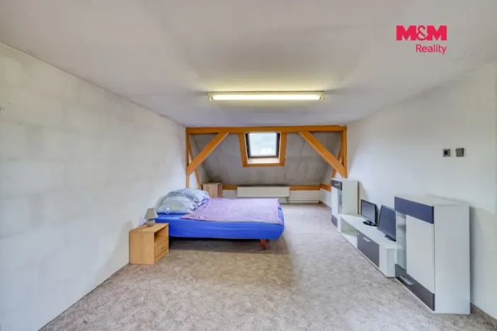 Prodej rodinného domu, Bor - Holostřevy, 200 m2