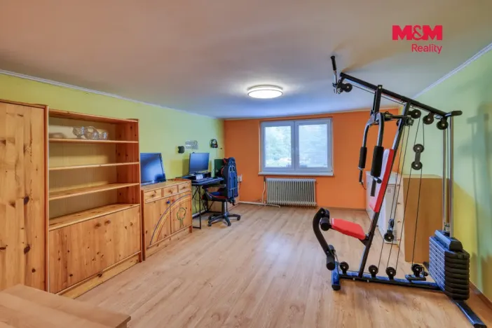 Prodej rodinného domu, Bor - Holostřevy, 200 m2