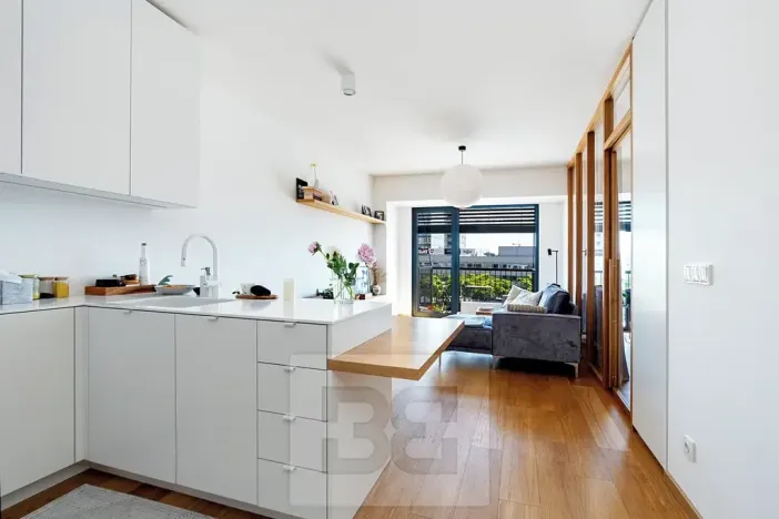 Prodej bytu 2+kk, Praha - Holešovice, V háji, 46 m2