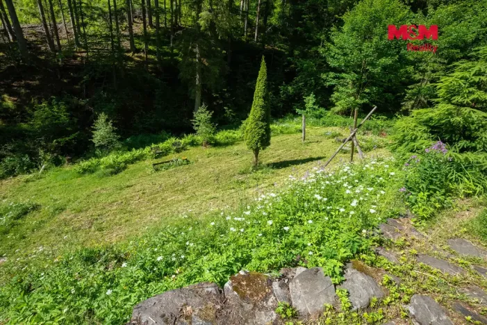 Prodej lesa, Jablonec nad Jizerou - Dolní Tříč, 18052 m2