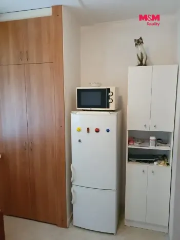 Pronájem bytu 1+1, Olomouc - Nová Ulice, Čajkovského, 41 m2