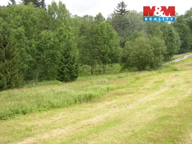 Prodej louky, Benecko, 4214 m2