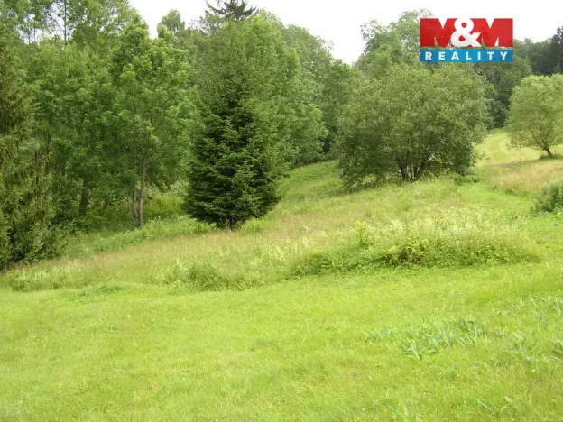 Prodej louky, Benecko, 4214 m2