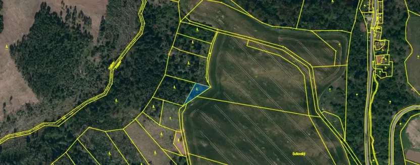 Prodej lesa, Slavičky - Pozďátky, 560 m2