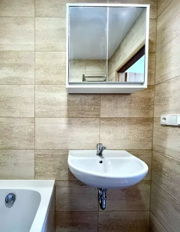 Pronájem bytu 1+1, Brno, Palackého třída, 39 m2