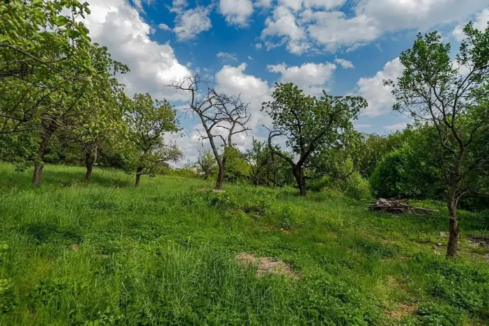 Prodej pozemku pro bydlení, Veliny, 1236 m2