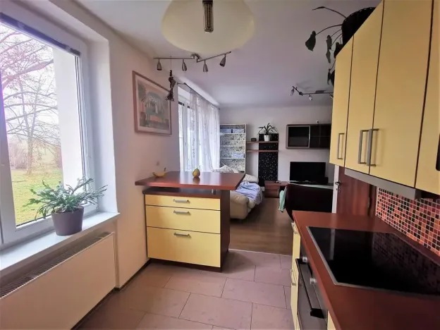 Pronájem bytu 3+kk, Chlumčany, Boženy Němcové, 72 m2