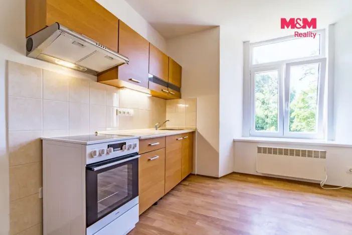 Pronájem bytu 1+kk, Vlčice, 41 m2