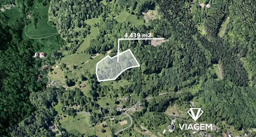 Prodej lesa, Děčín, 4439 m2