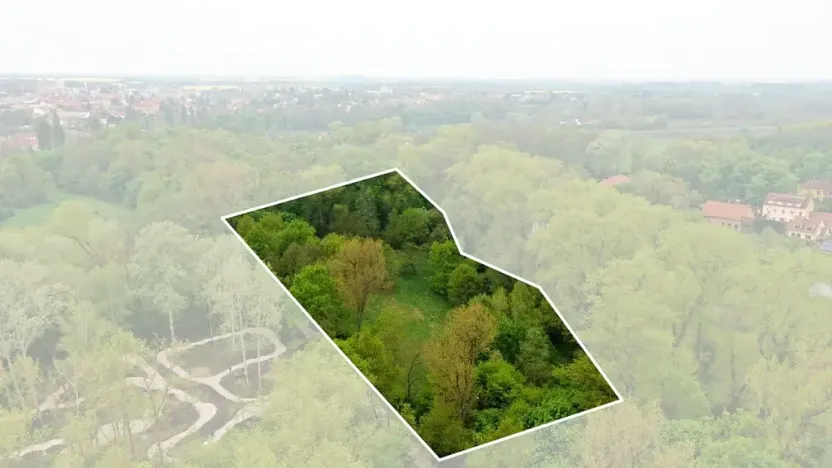 Prodej louky, Brandýs nad Labem-Stará Boleslav, Maxe Švabinského, 12291 m2