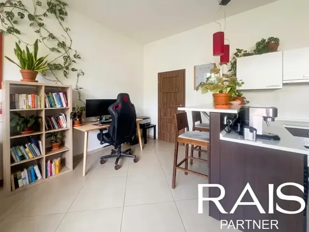 Prodej bytu 2+kk, Brno, Svitavská, 89 m2
