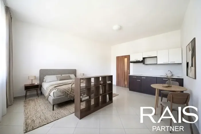 Prodej bytu 1+kk, Brno, Vranovská, 29 m2