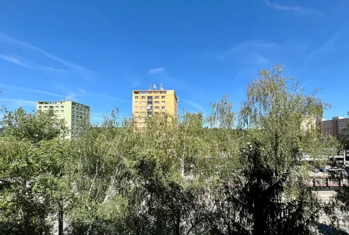 Pronájem bytu 2+kk, Brno, Palackého třída, 39 m2