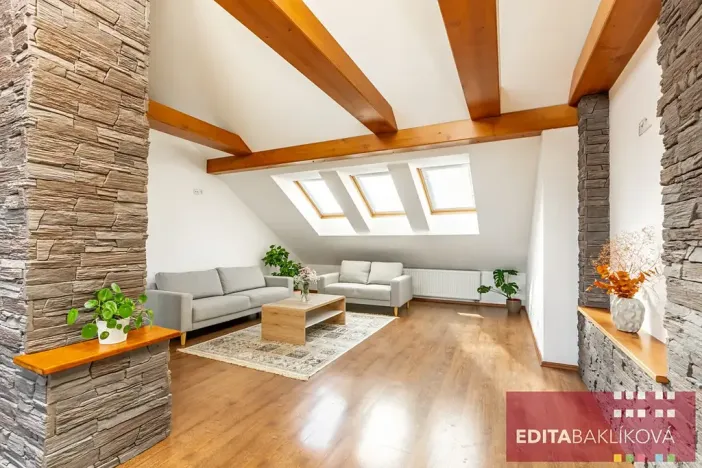 Prodej bytu 3+kk, Olomouc, Hodolanská, 112 m2