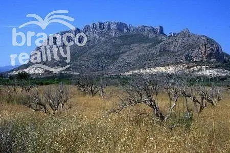 Prodej rodinného domu, El Verger, Alicante, Španělsko, 115 m2