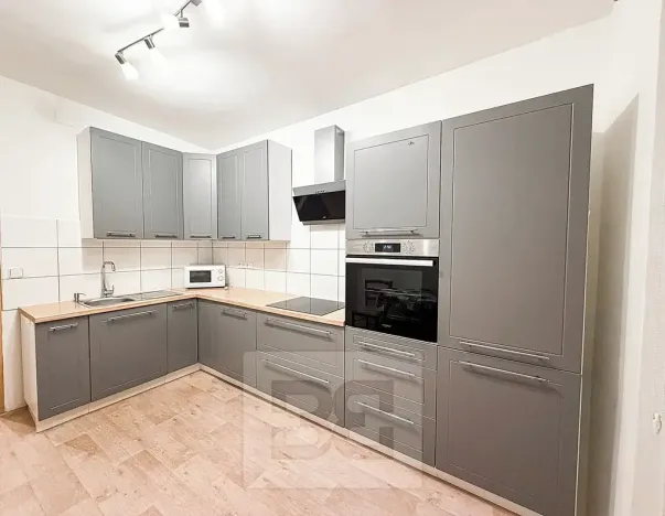 Pronájem bytu 2+1, Ostrov, S. K. Neumanna, 56 m2