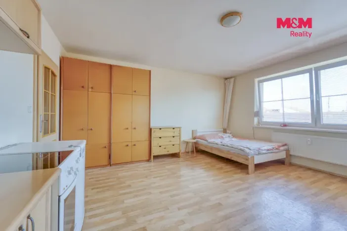 Pronájem bytu 1+kk, Plzeň - Východní Předměstí, Plzenecká, 33 m2