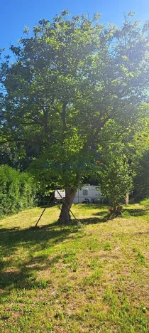 Prodej pozemku pro bydlení, Žabovřesky, 705 m2