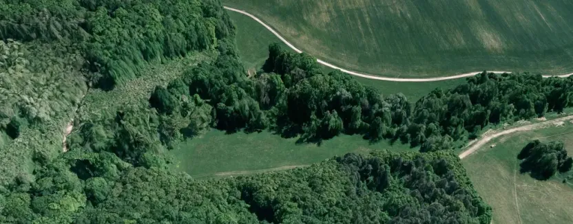 Prodej lesa, Hradčovice, 207 m2