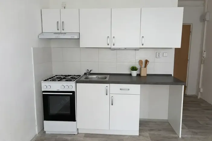 Pronájem bytu 1+1, Litvínov, Rooseveltova, 34 m2
