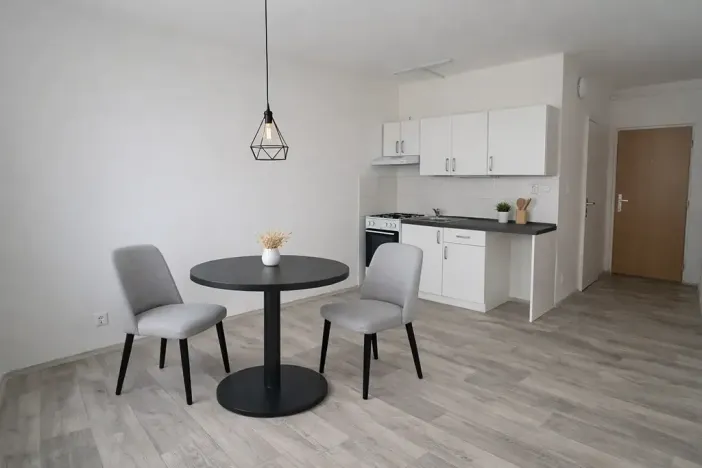 Pronájem bytu 1+1, Litvínov, Rooseveltova, 34 m2