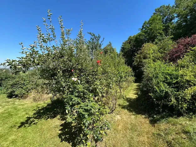 Prodej chaty, Velký Týnec, 20 m2