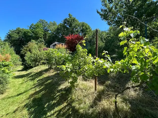 Prodej chaty, Velký Týnec, 20 m2