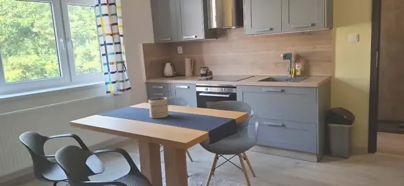 Pronájem bytu 2+1, Brno, Viniční, 70 m2