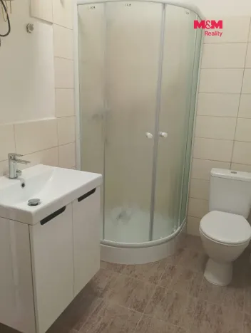 Pronájem bytu 1+kk, Tochovice, 34 m2